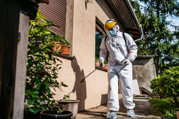 Best Pest Prevention Services  in West Bay Shore, NY