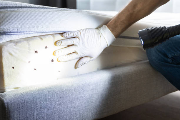 Best Commercial Pest Control Services  in West Bay Shore, NY